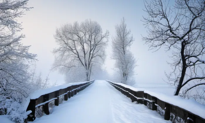 Hlávkův most – winter