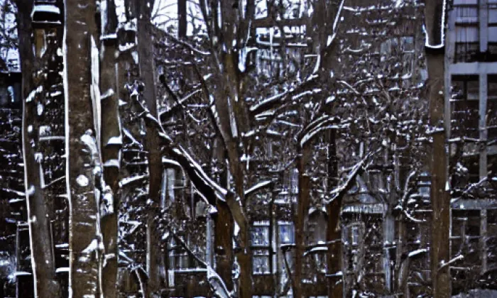 Hlavačov (Běstovice) – winter