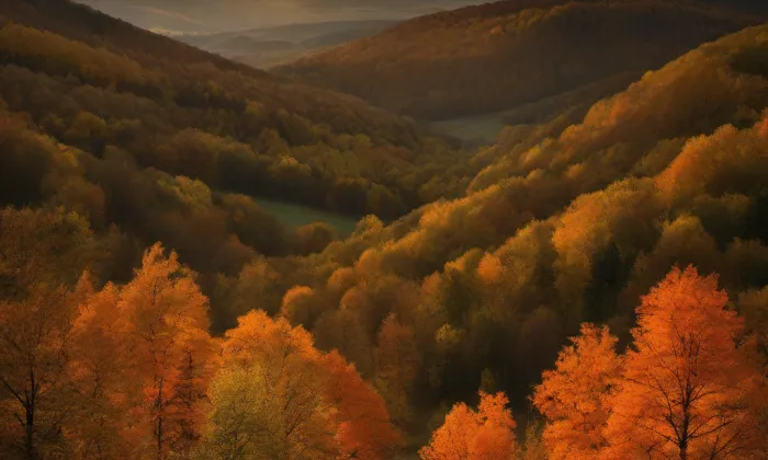 Hloubětín – autumn