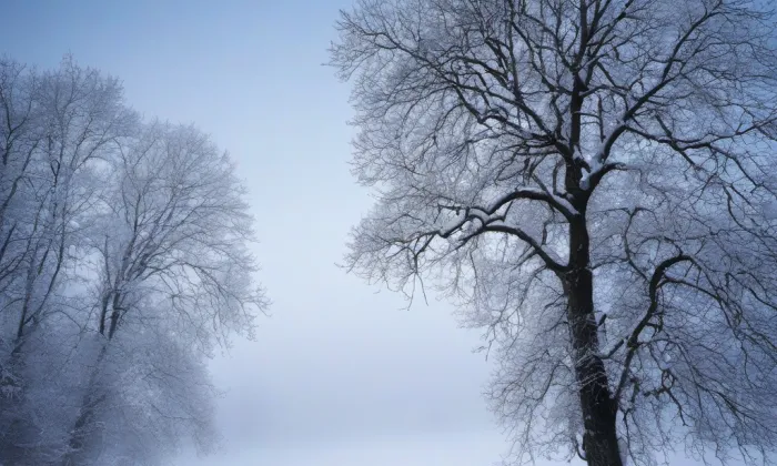 Hloubětín – winter