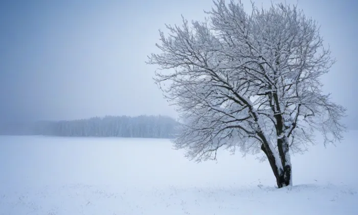 Hodkov – winter