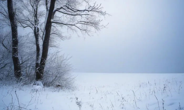 Hrádek nad Olší – winter