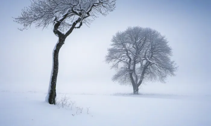Hrad Bečov nad Teplou – winter