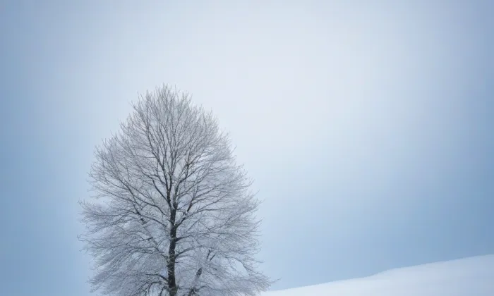 Hrad na Babské skále – winter