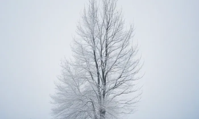 Hrad na Stožecké skále – winter