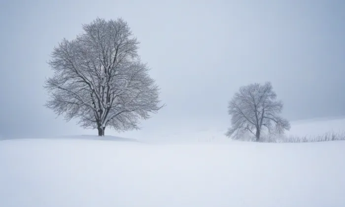 hradní kaple – winter