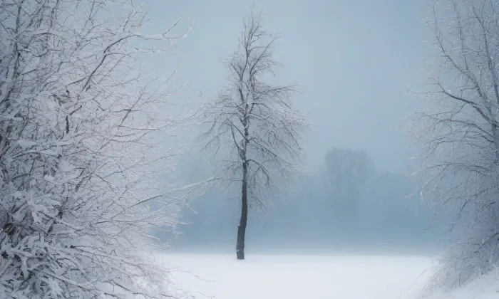 Hrobka Kinských v Budenicích – winter