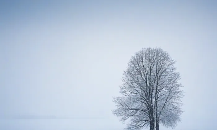 Hrubý Rohozec – winter