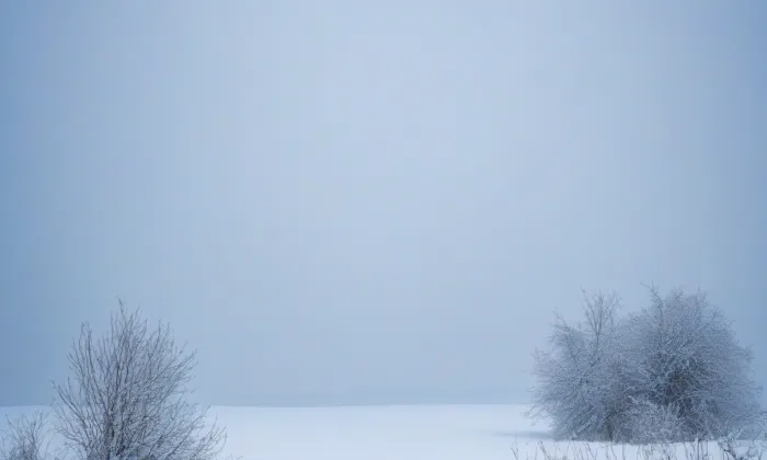Husův dům – winter