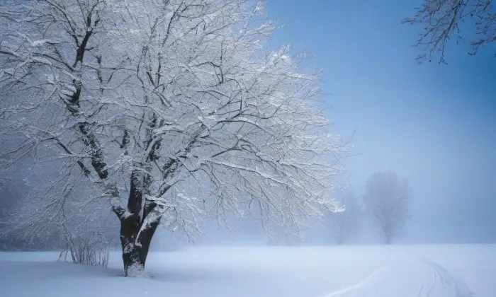 Husův sbor v Turnově – winter