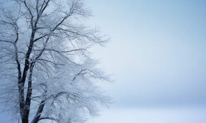husitský kostel v Pardubicích – winter