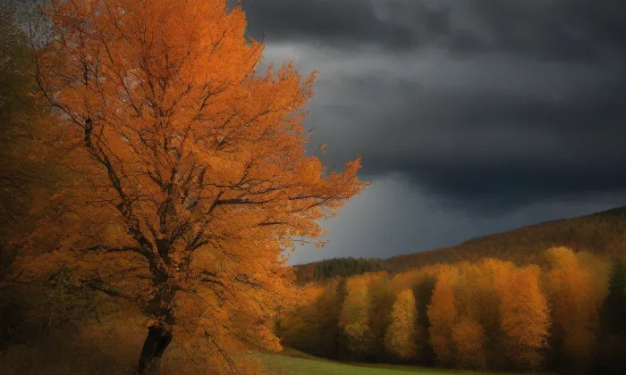 Jezuitská rezidence v Liběšicích – autumn