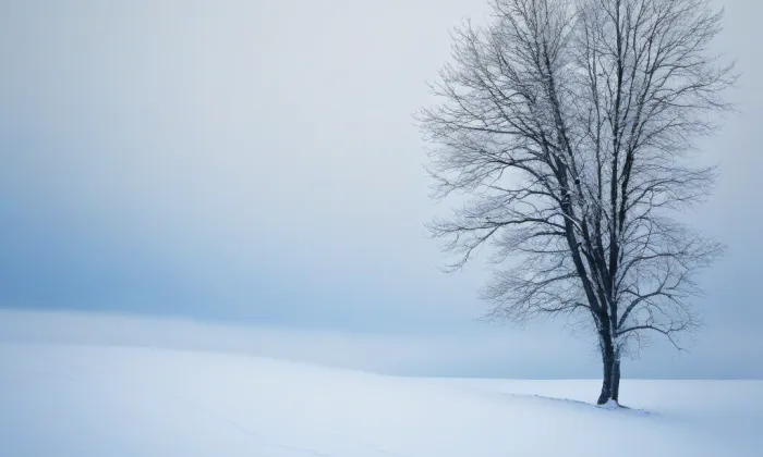 kamenný most ve Chvalkovicích – winter