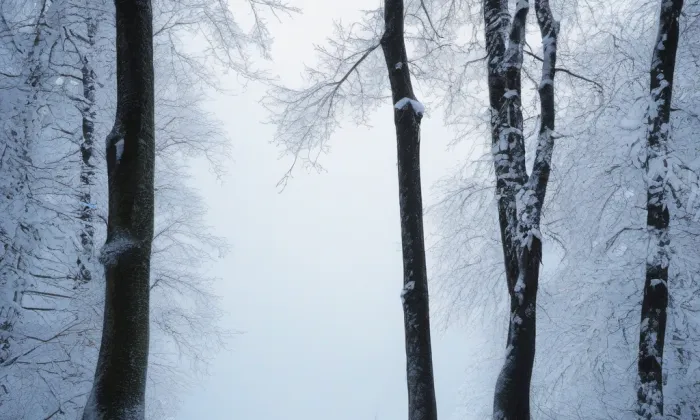 Kanovnická – winter