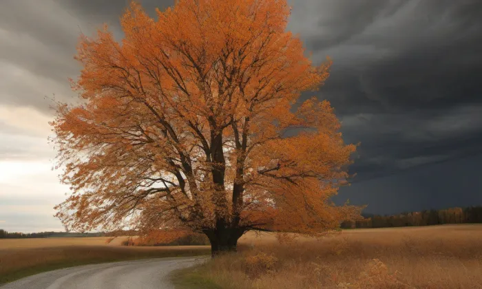 Kanovnické rezidence v Olomouci – autumn