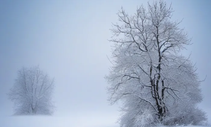 kaple (Město Touškov) – winter