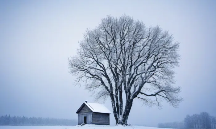 kaple (Nivy) – winter