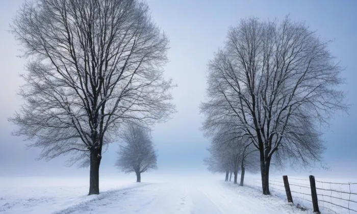 kaple Čtrnácti svatých pomocníků (Březová nad Svitavou) – winter