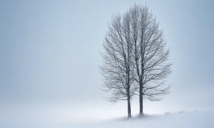 kaple Andělů strážných (Zlatá Koruna) – winter