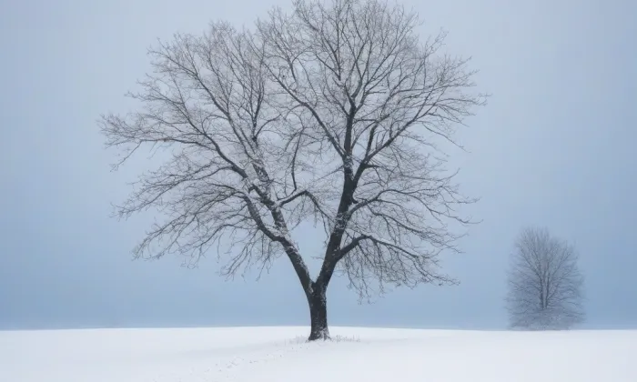 kaple Anděla Strážce (Sušice III) – winter
