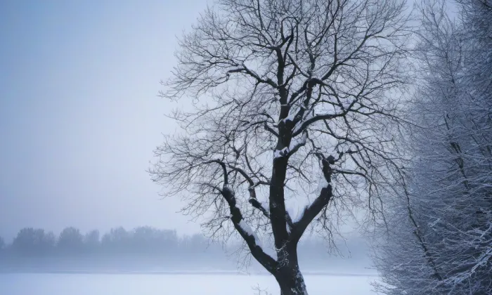 kaple Božího Těla (Olomouc) – winter