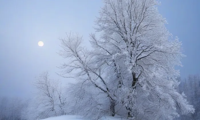 kaple Božského Srdce Páně (Borová) – winter