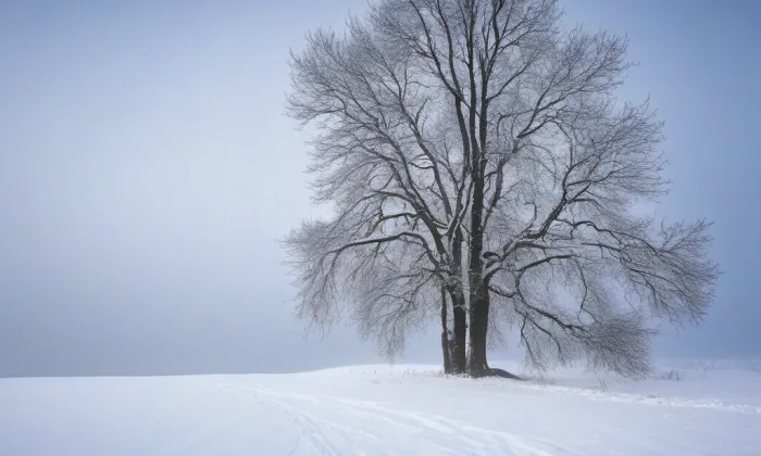 kaple Jména Panny Marie (Zdiměřice) – winter