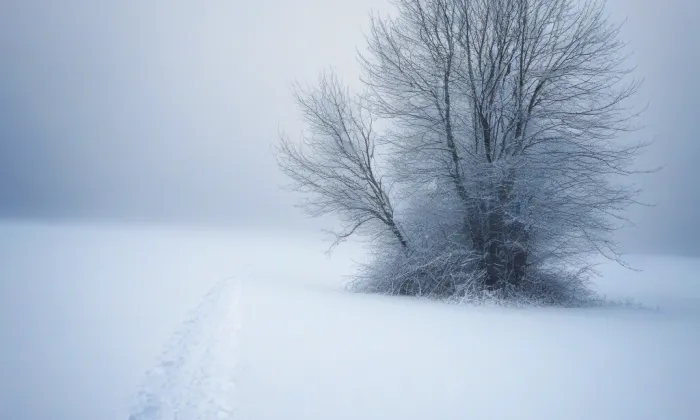 kaple milosrdného Samaritána – winter