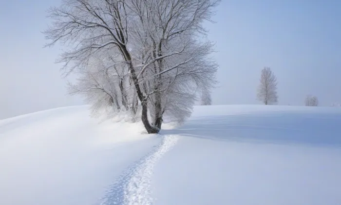kaple Nanebevzetí Panny Marie (Košíře) – winter