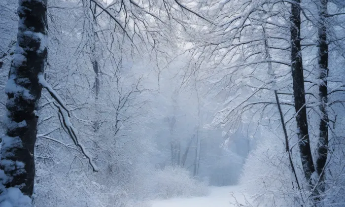 Kaple Narození Panny Marie (Zásmuky) – winter