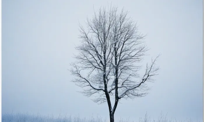 kaple Nejsvětější Trojice (Chlumec) – winter