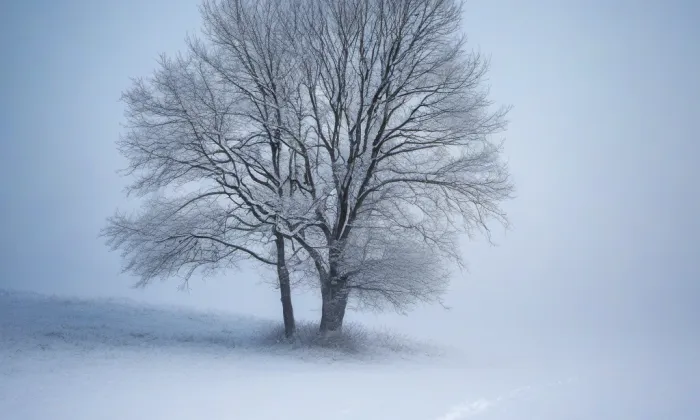 kaple Nejsvětější Trojice (Rosice) – winter