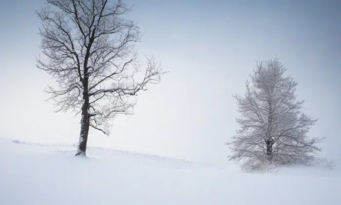 kaple Nejsvětější Trojice v Častolovicích – winter