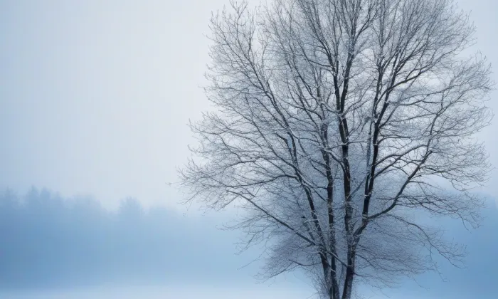 kaple Obětování Panny Marie – winter