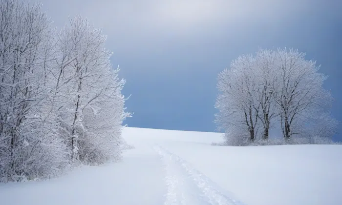 kaple Panny Marie (Telnice) – winter