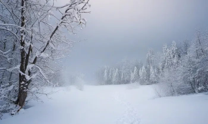 kaple Panny Marie (Velký Šenov) – winter
