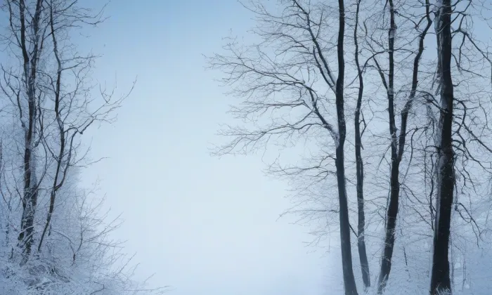 kaple Panny Marie Bolestné (Božkov) – winter