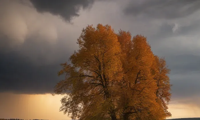 kaple Panny Marie Bolestné (Frymburk) – autumn