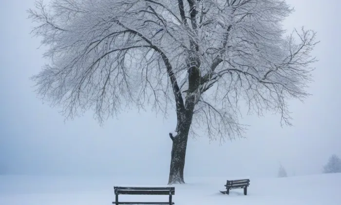 kaple Panny Marie Hlohové – winter