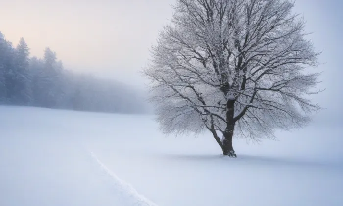 kaple Panny Marie na Novém Městě – winter