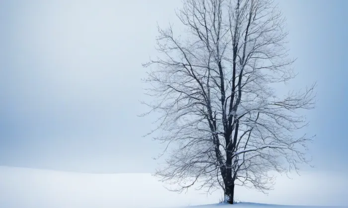 Kaple Panny Marie Neposkvrněné u Liščí – winter