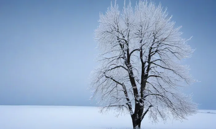 kaple Panny Marie Pomocné (Děčín I-Děčín) – winter
