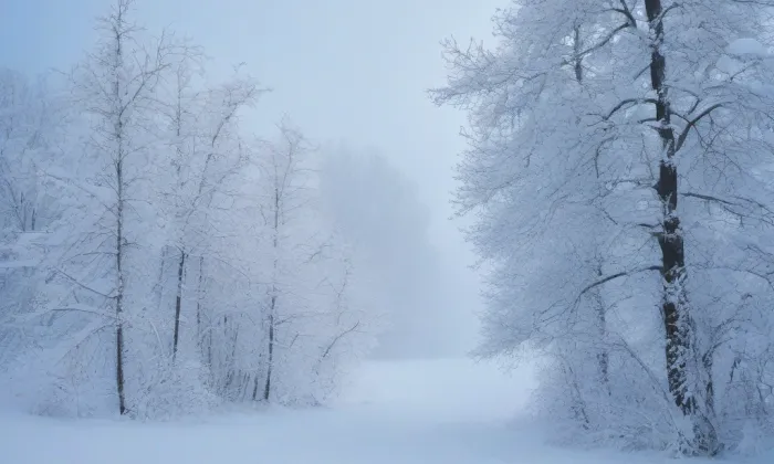 kaple Panny Marie Prostřednice všech milostí ve Vědlicích – winter