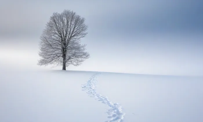 kaple s hrobkou na hřbitově v Hrušovanech nad Jevišovkou – winter