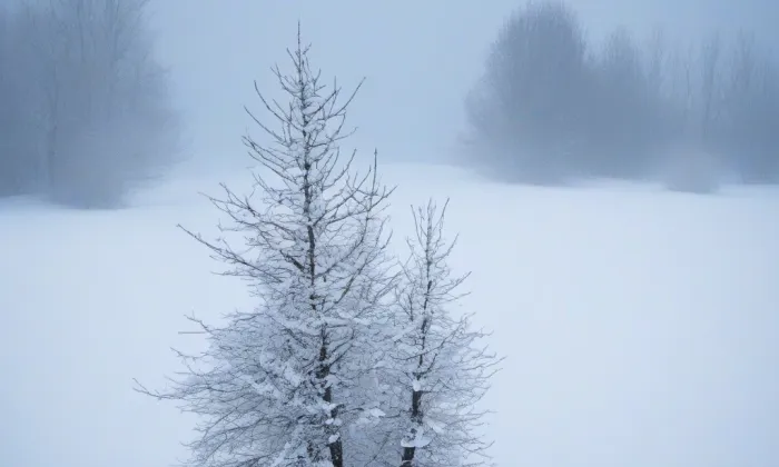 kaple svaté Anny (Žárová) – winter