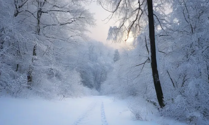kaple svaté Anny (Řevničov) – winter