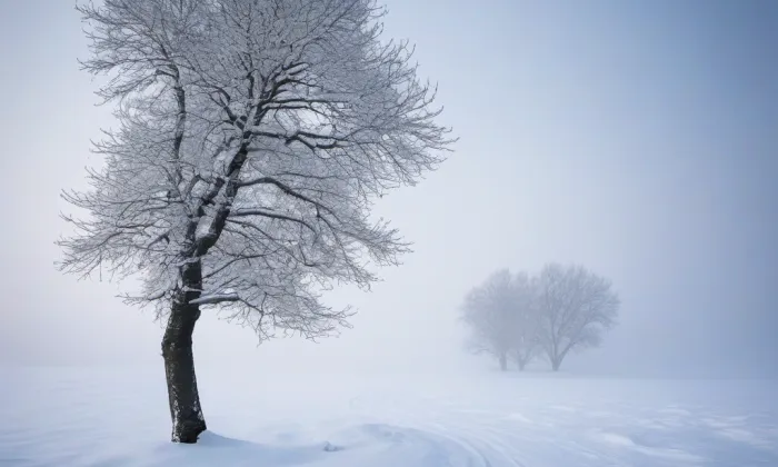 kaple svaté Anny (Frýdlant) – winter