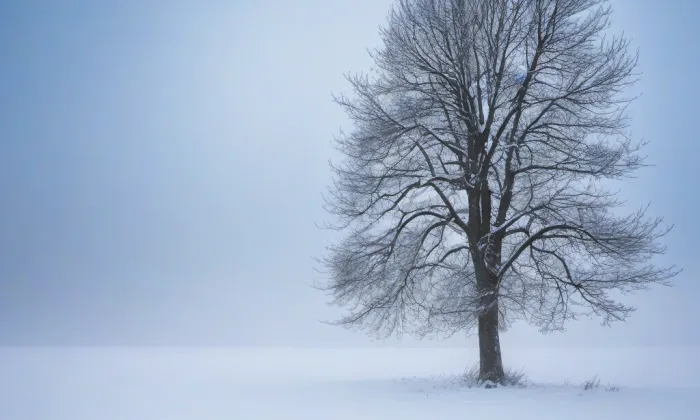 Kaple svaté Anny (Hylváty) – winter