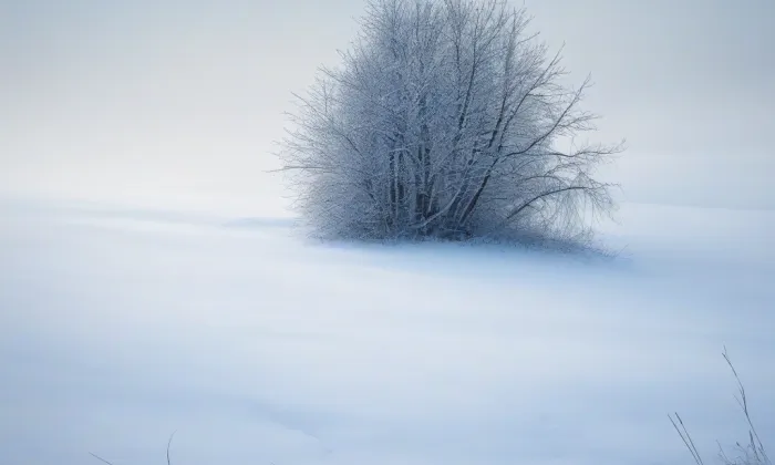 kaple svaté Anny (Krč) – winter