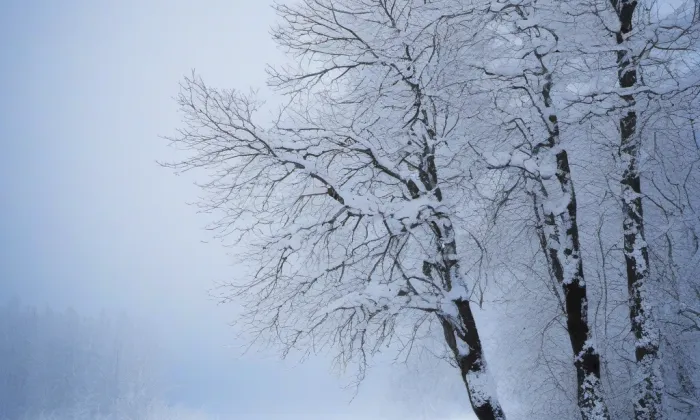 kaple svaté Anny (Panenské Břežany) – winter